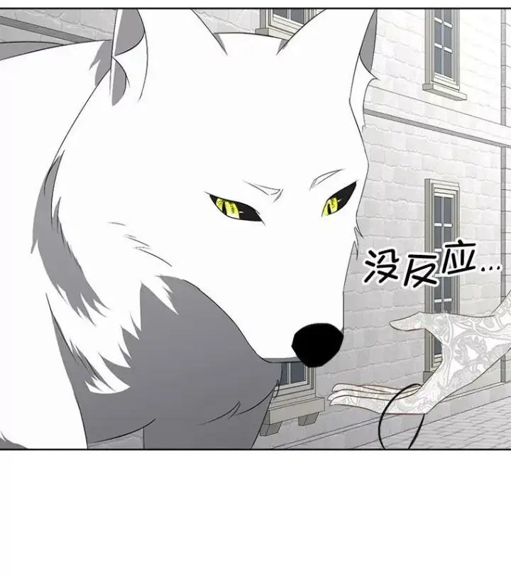 《临时保护我方男主》21.和解图58