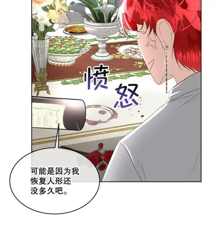 《临时保护我方男主》25.利尔莉娜图14