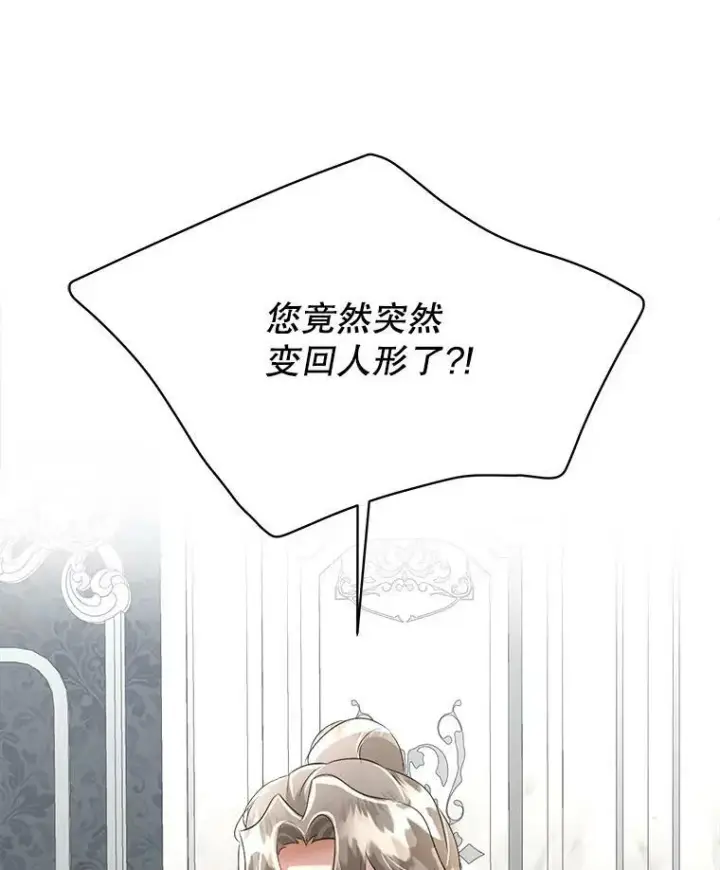 《临时保护我方男主》25.利尔莉娜图79