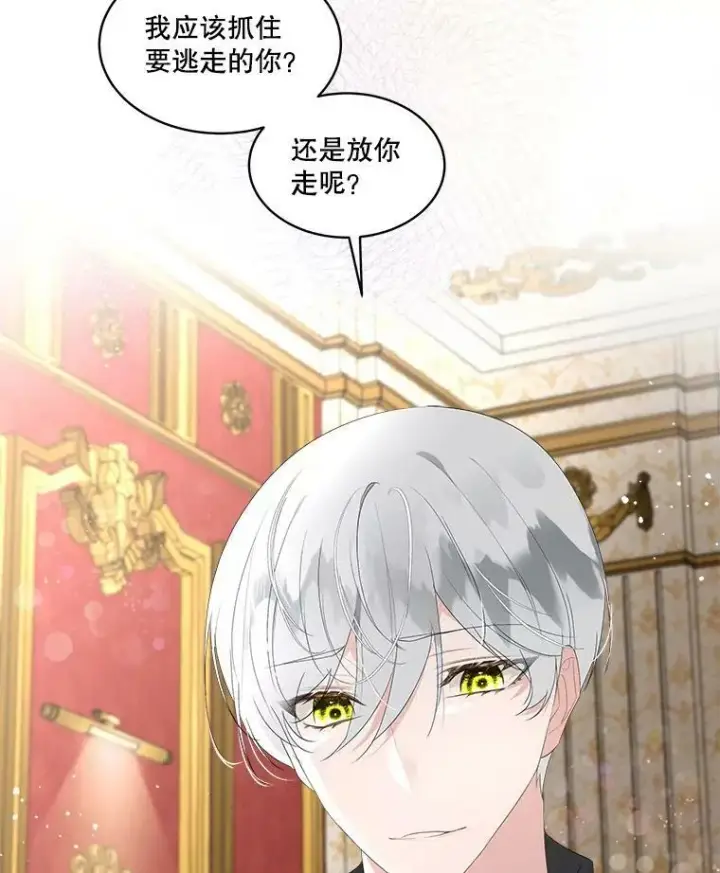《临时保护我方男主》32.皇太子变骑士图35