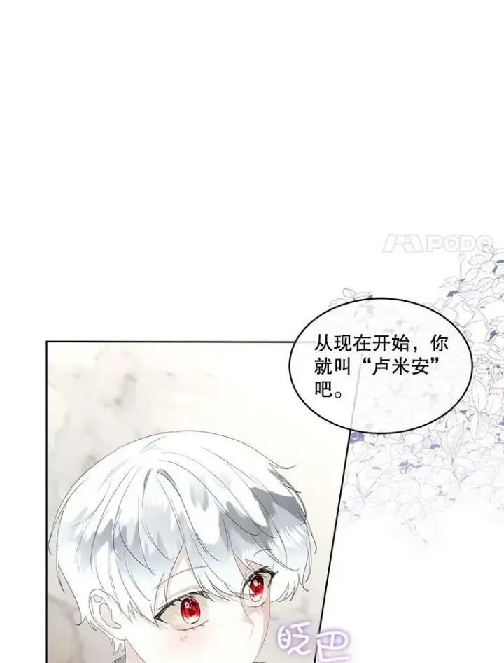 《临时保护我方男主》33.驯服魔物图42