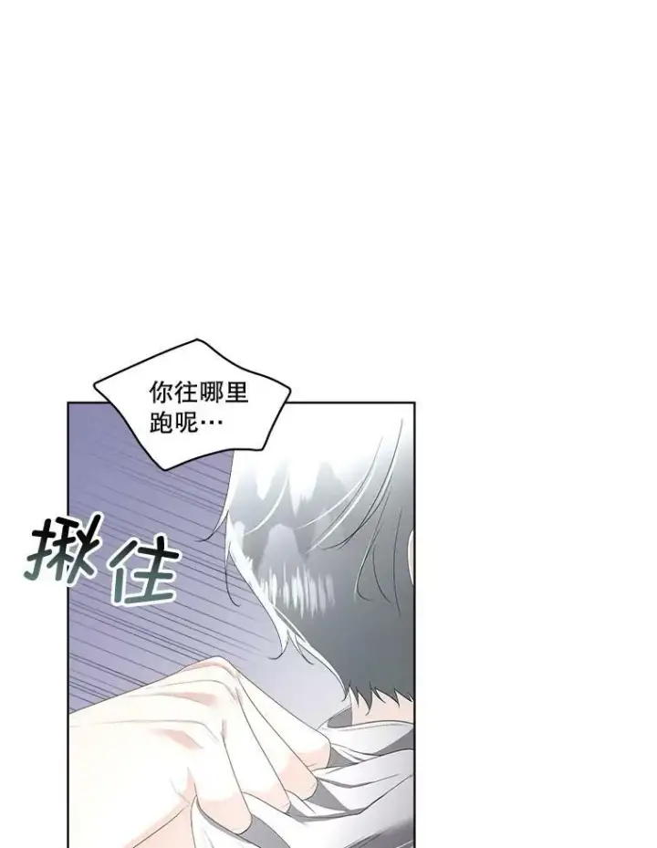 《临时保护我方男主》33.驯服魔物图7