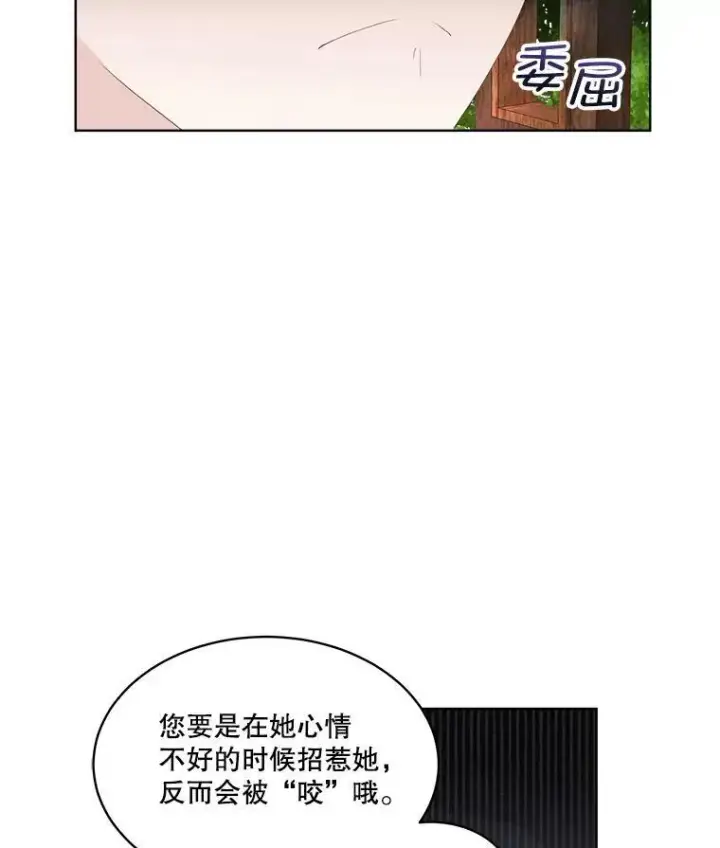 《临时保护我方男主》34.启程赴帝都图56