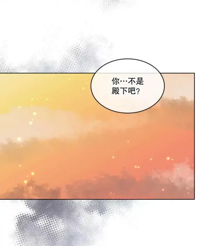 《临时保护我方男主》37.真假殿下图100