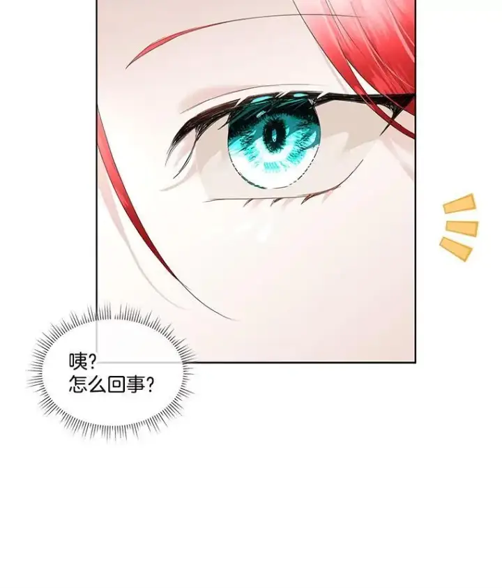 《临时保护我方男主》37.真假殿下图62