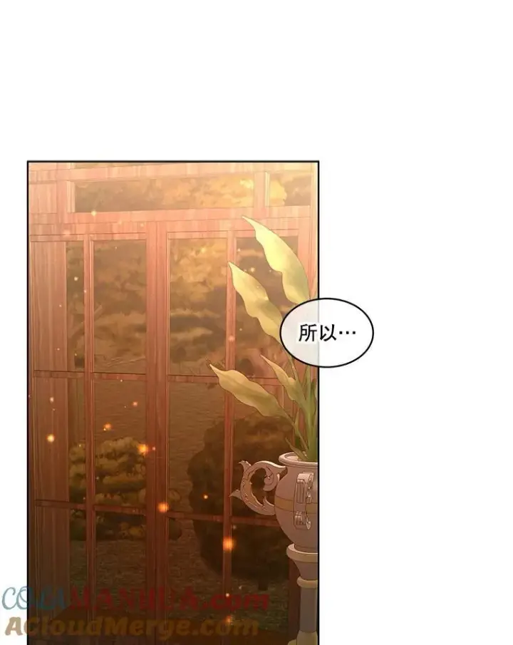 《临时保护我方男主》40.利尔莉娜的坦白图65