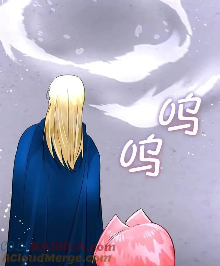 《临时保护我方男主》42.魔塔主的礼物图109