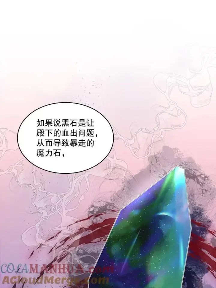 《临时保护我方男主》42.魔塔主的礼物图13