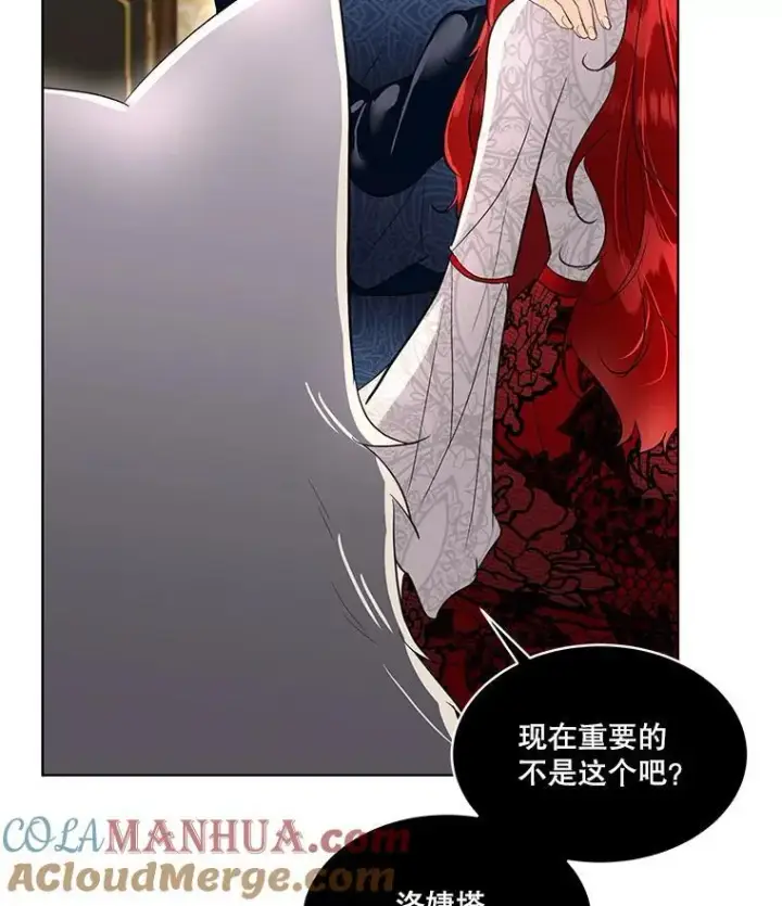 《临时保护我方男主》42.魔塔主的礼物图9