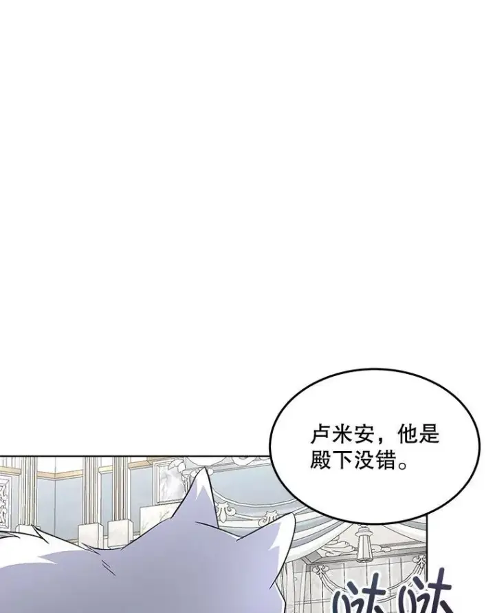 《临时保护我方男主》44.殿下的别墅图100
