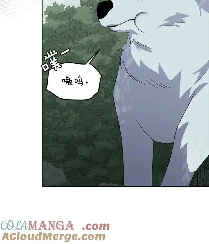 《临时保护我方男主》46.森林迷路图101