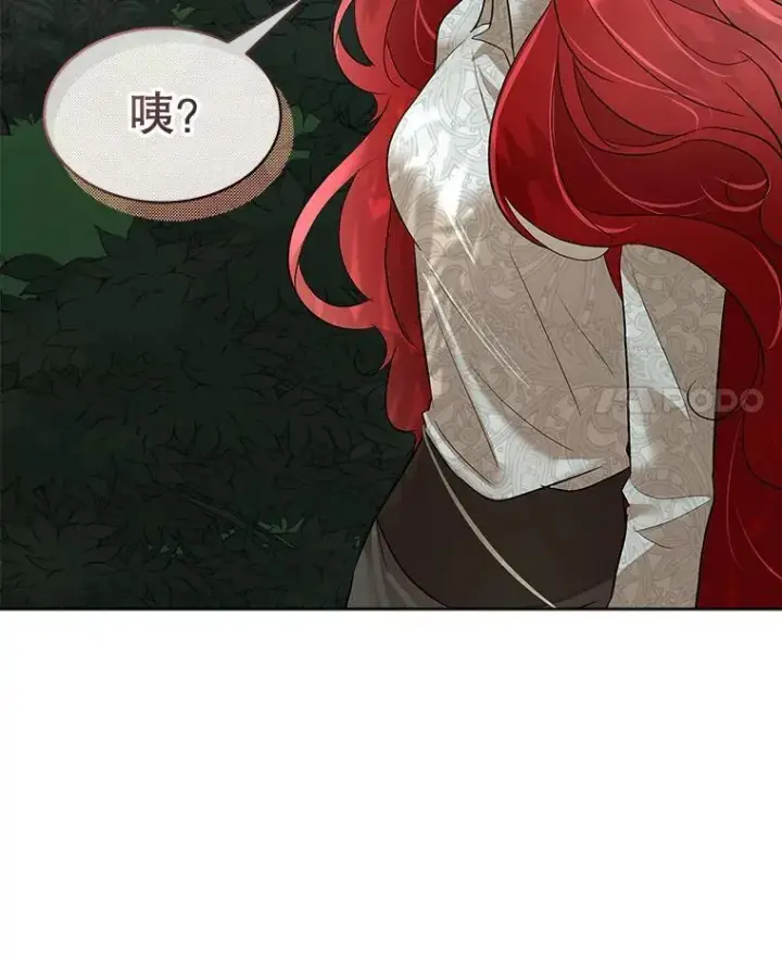 《临时保护我方男主》46.森林迷路图44