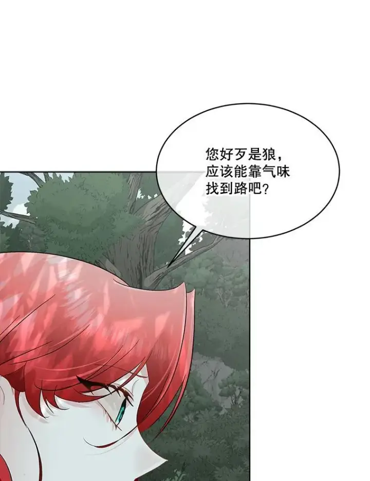 《临时保护我方男主》46.森林迷路图76