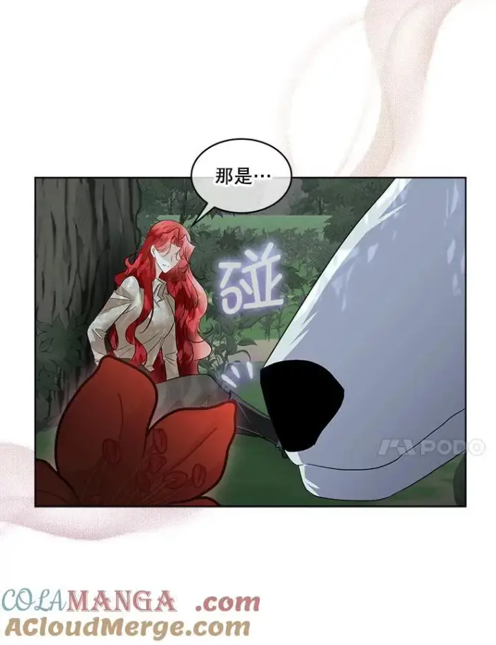《临时保护我方男主》46.森林迷路图81