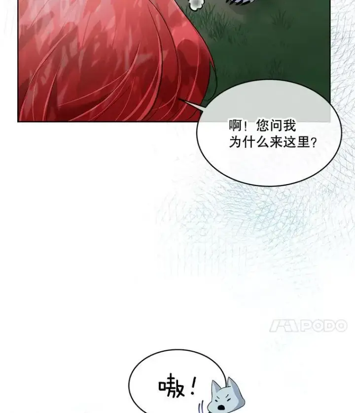 《临时保护我方男主》46.森林迷路图99