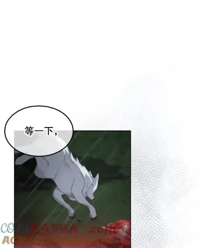 《临时保护我方男主》47.生死攸关图13