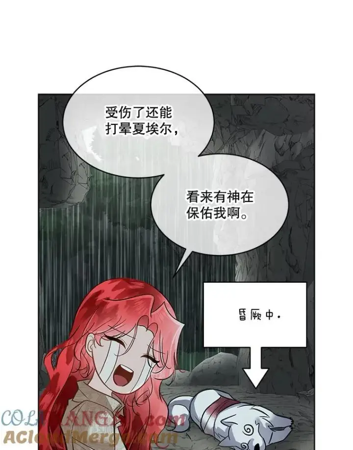 《临时保护我方男主》48.发现许愿池图37