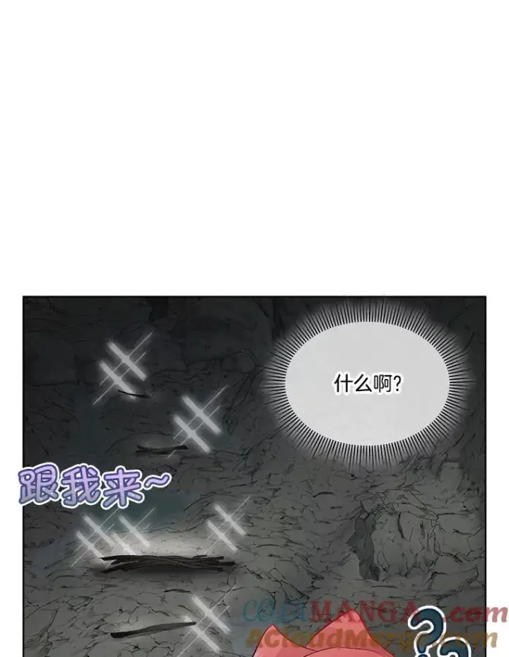 《临时保护我方男主》48.发现许愿池图57