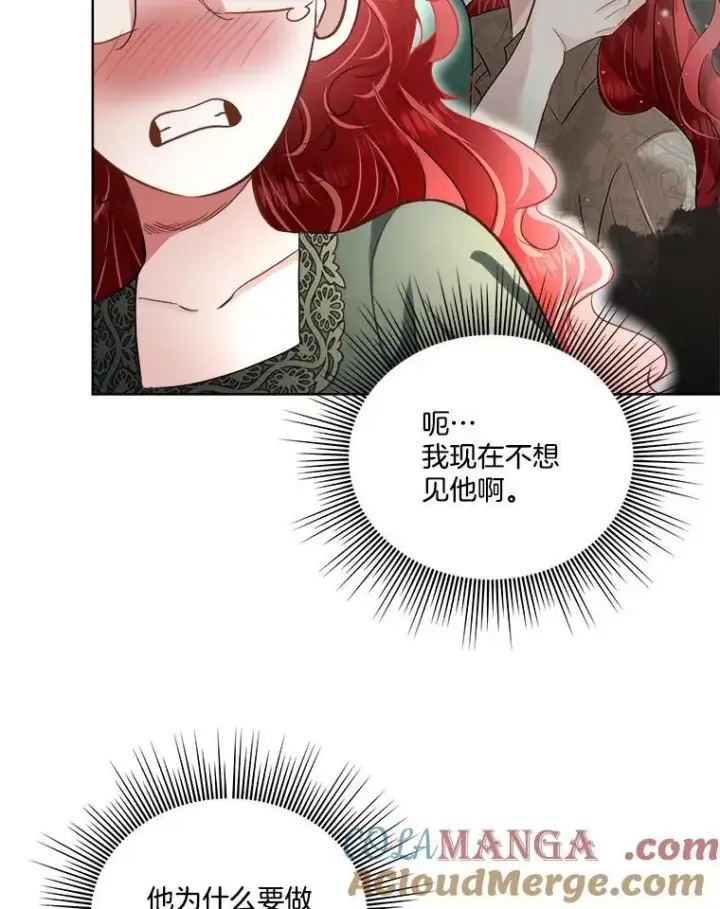 《临时保护我方男主》52.殿下的礼物图25