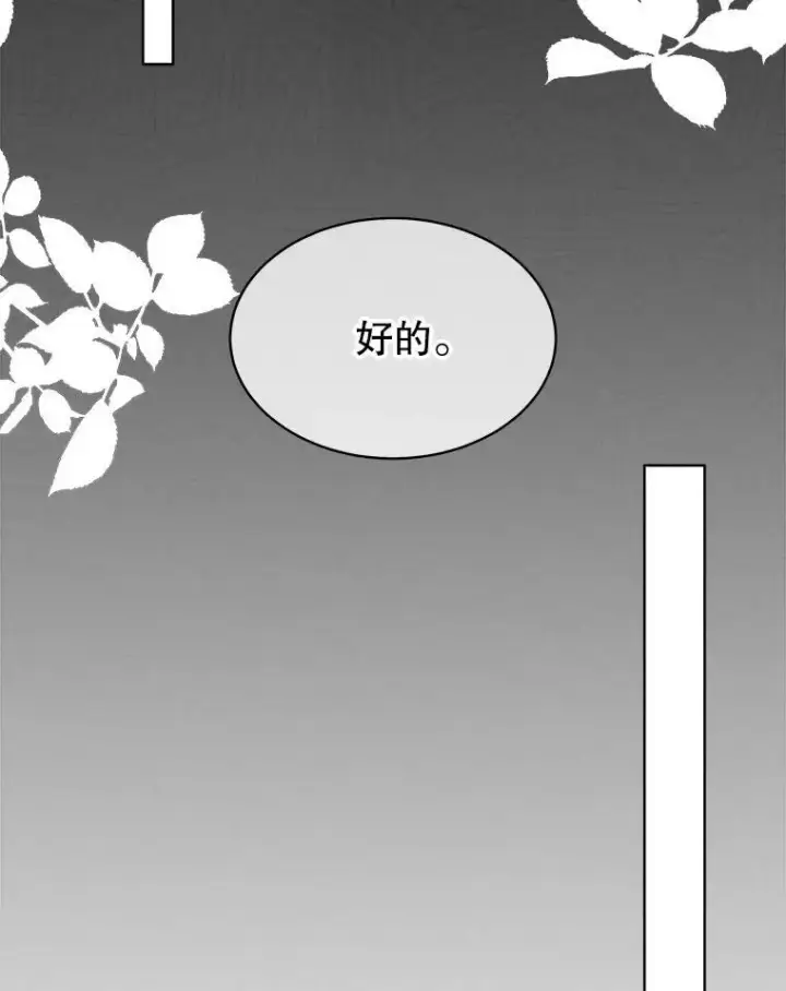 《临时保护我方男主》53.成人礼在即图59