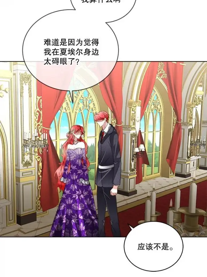 《临时保护我方男主》55.洛婕塔的成人礼图14