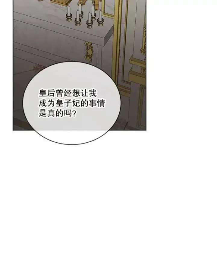 《临时保护我方男主》55.洛婕塔的成人礼图4