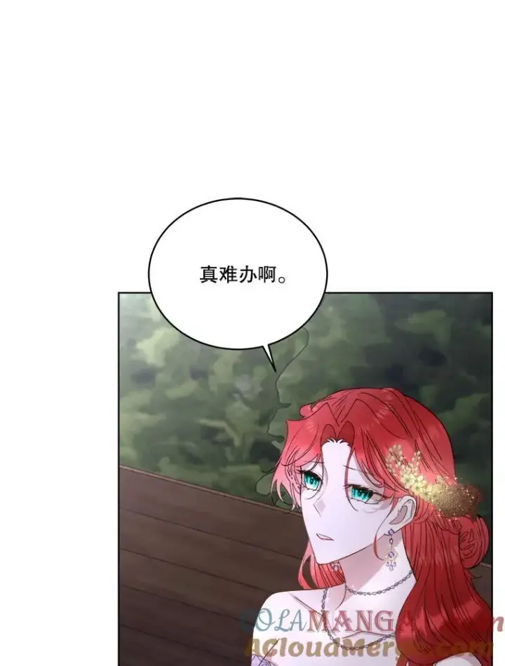 《临时保护我方男主》56.偶遇二皇子图45