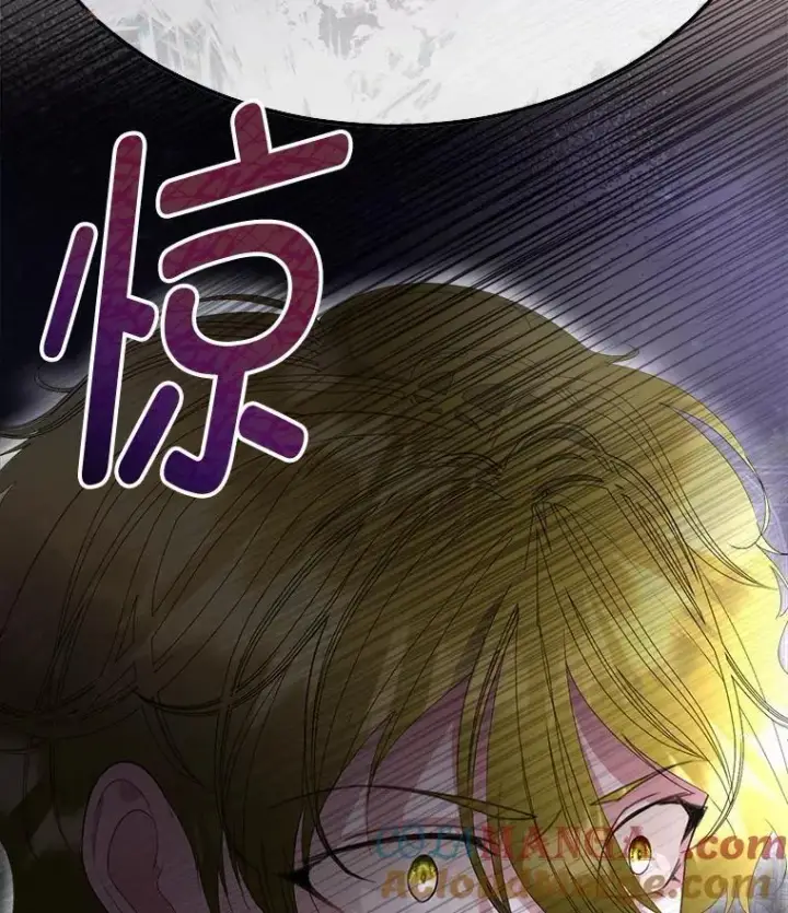 《临时保护我方男主》57.利尔莉娜的礼物图25