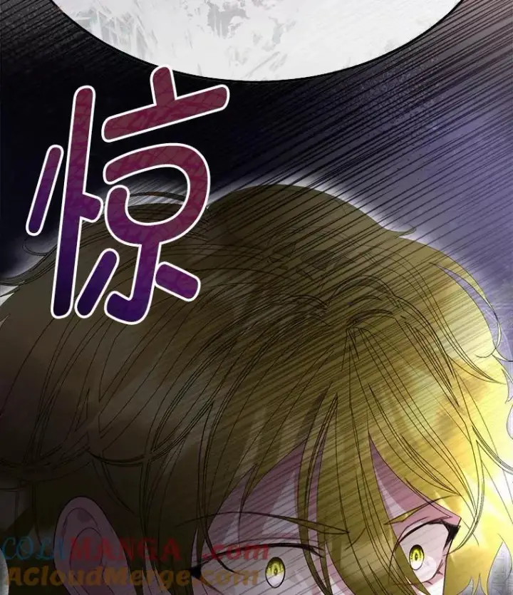 《临时保护我方男主》57.利尔莉娜的礼物（本季完）图25