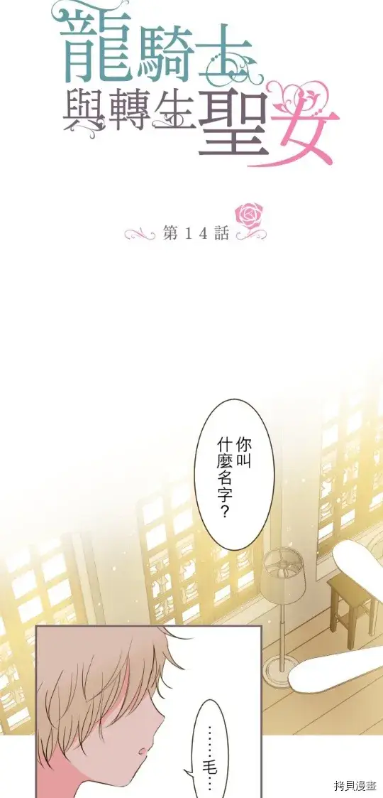 《龙骑士与转生圣女》第14话图2