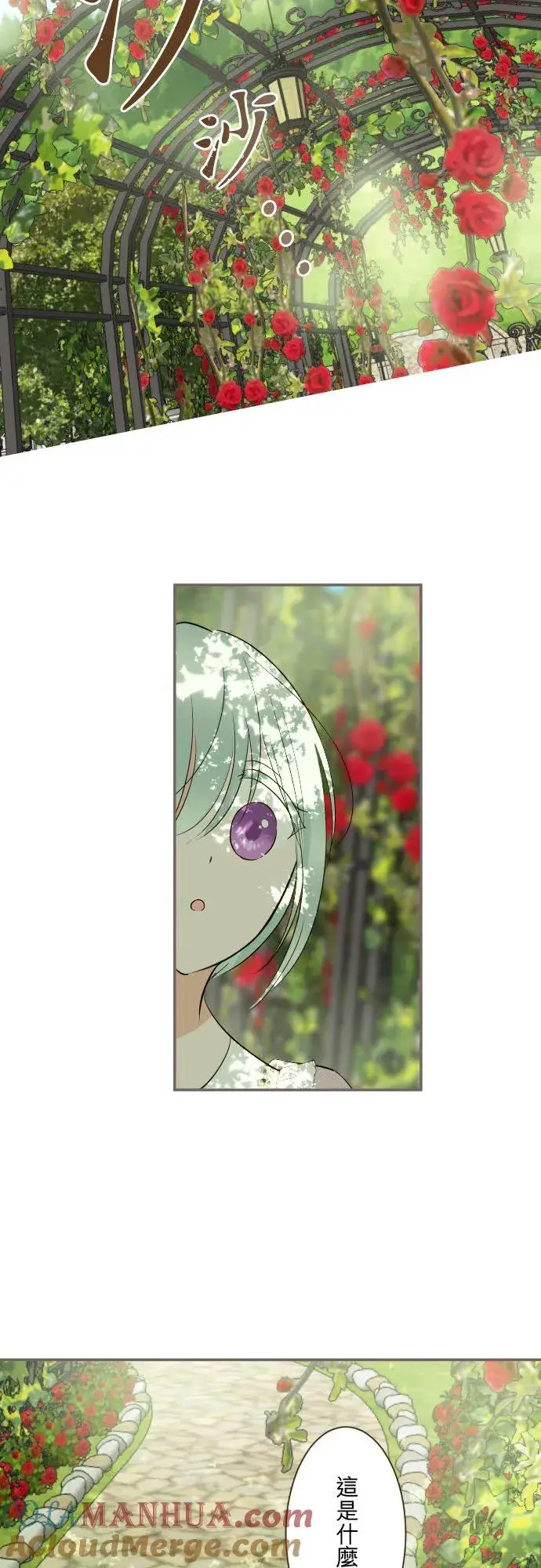 《龙骑士与转生圣女》123话 希望大家能爱她图29