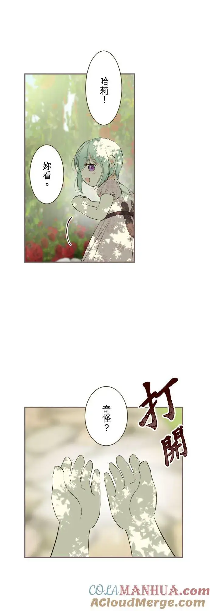 《龙骑士与转生圣女》124话 比起前世更加地图5