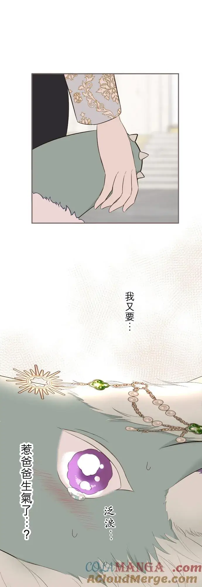 《龙骑士与转生圣女》135话 爸爸吃醋了图31