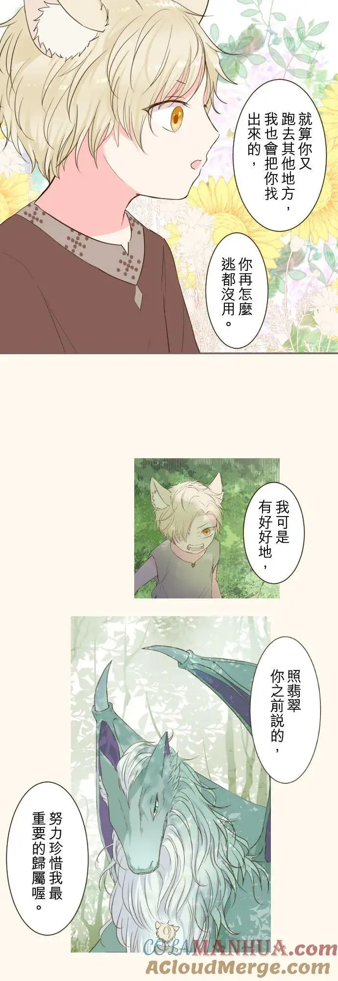 《龙骑士与转生圣女》38话 让我看Ⅱ图7