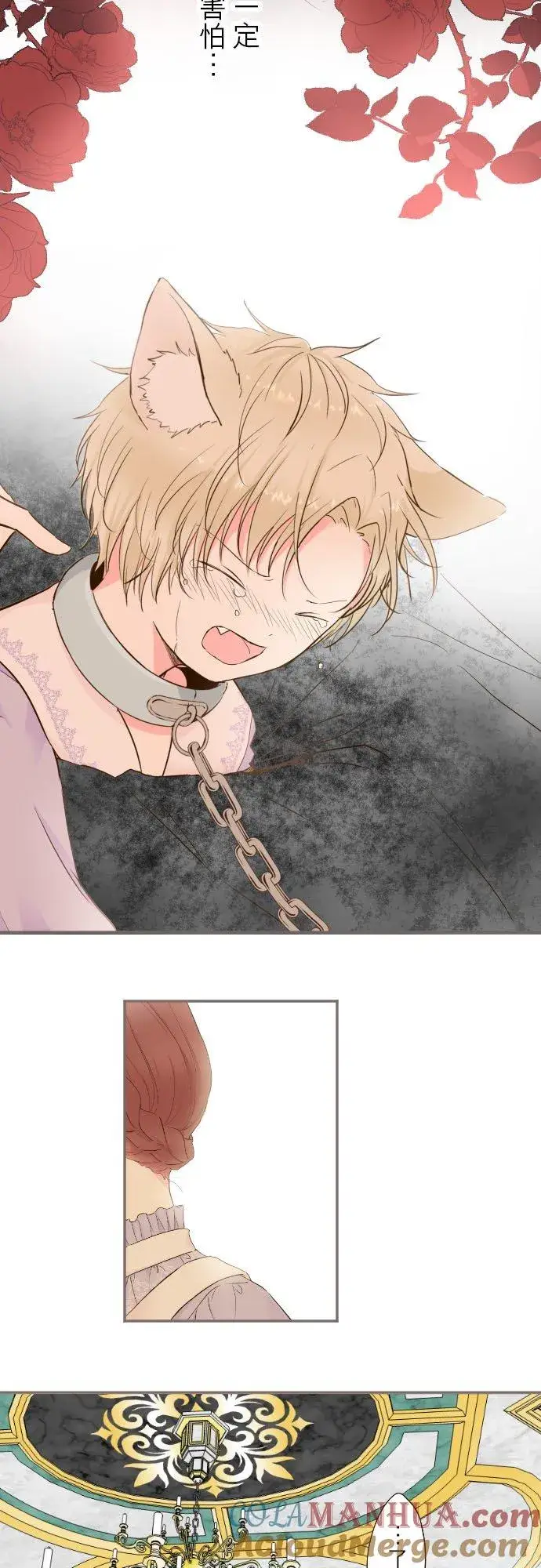 《龙骑士与转生圣女》64话 前世图19