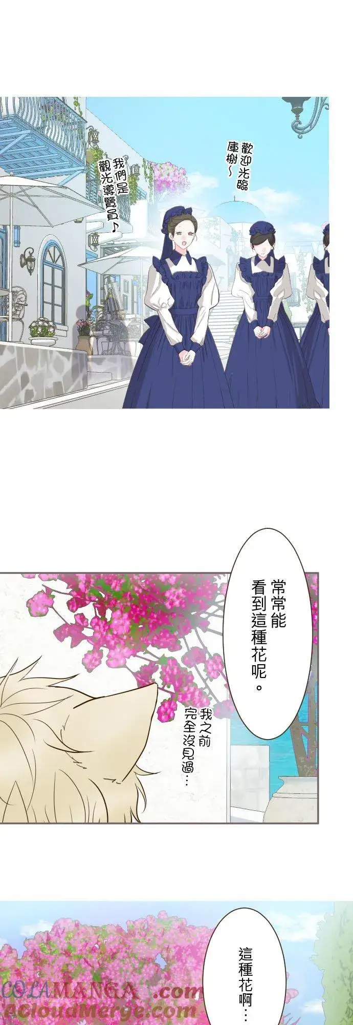 《龙骑士与转生圣女》139话 乙瑠与西托里图31