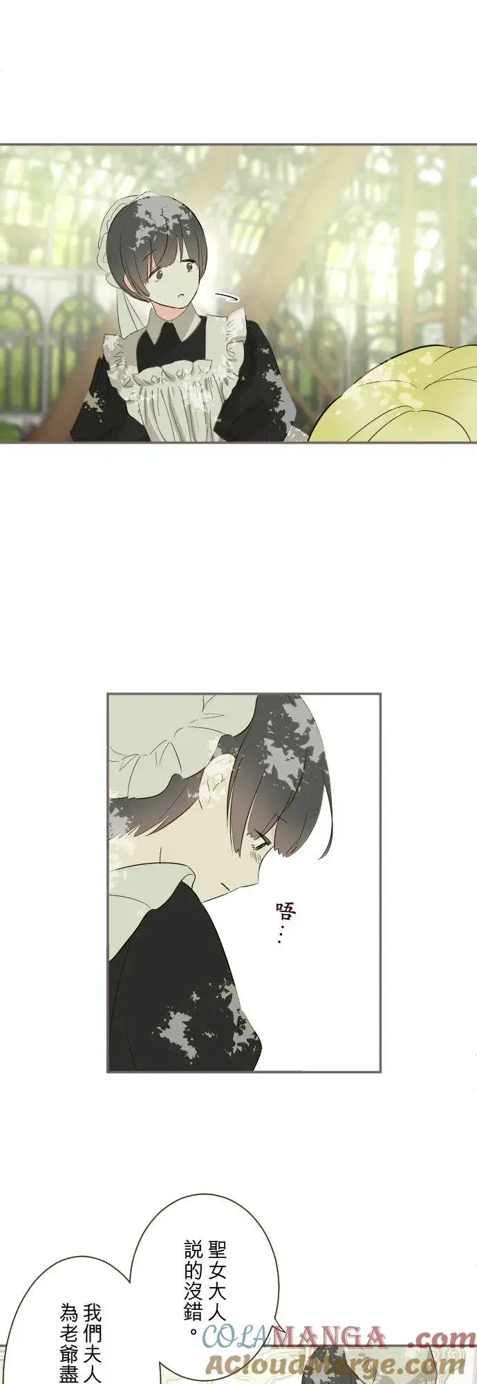 《龙骑士与转生圣女》144话 完美的太太图29