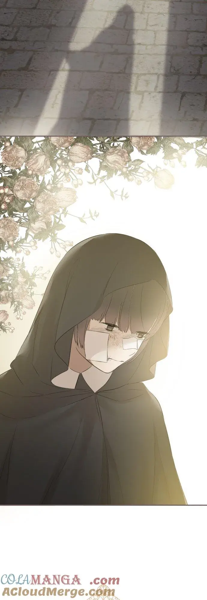 《龙骑士与转生圣女》146话 母与子图33