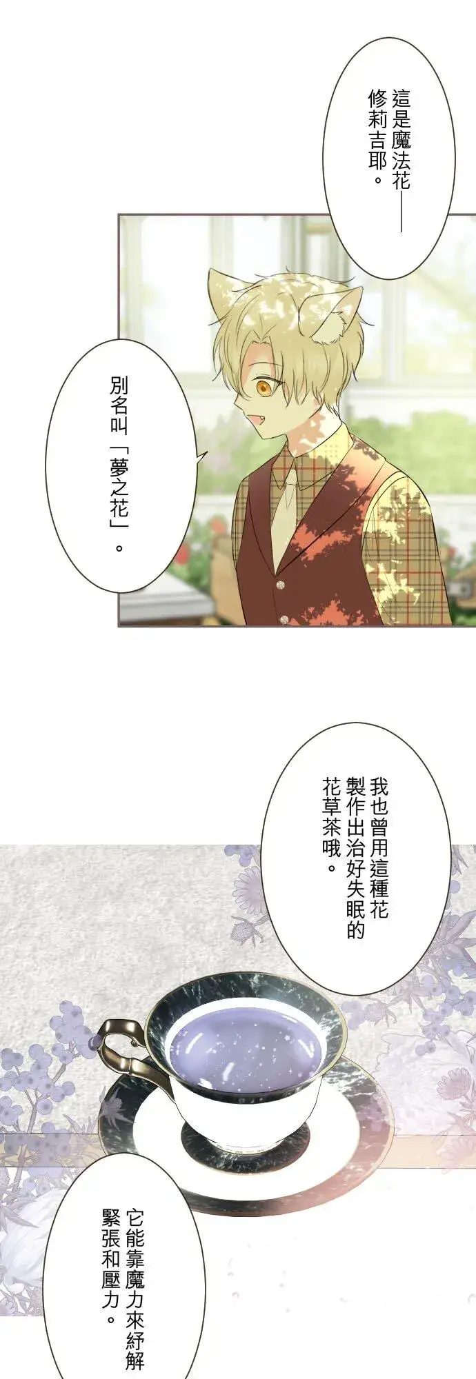 《龙骑士与转生圣女》146话 母与子图6