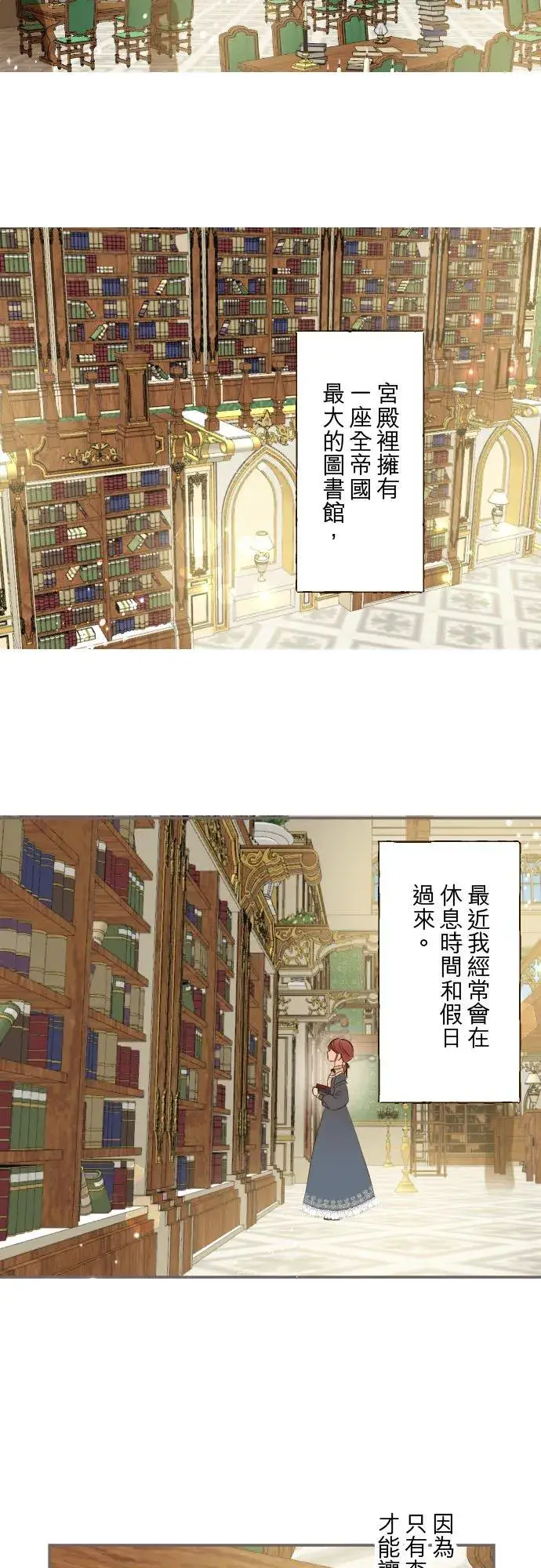 《龙骑士与转生圣女》83话 身分之谜图24