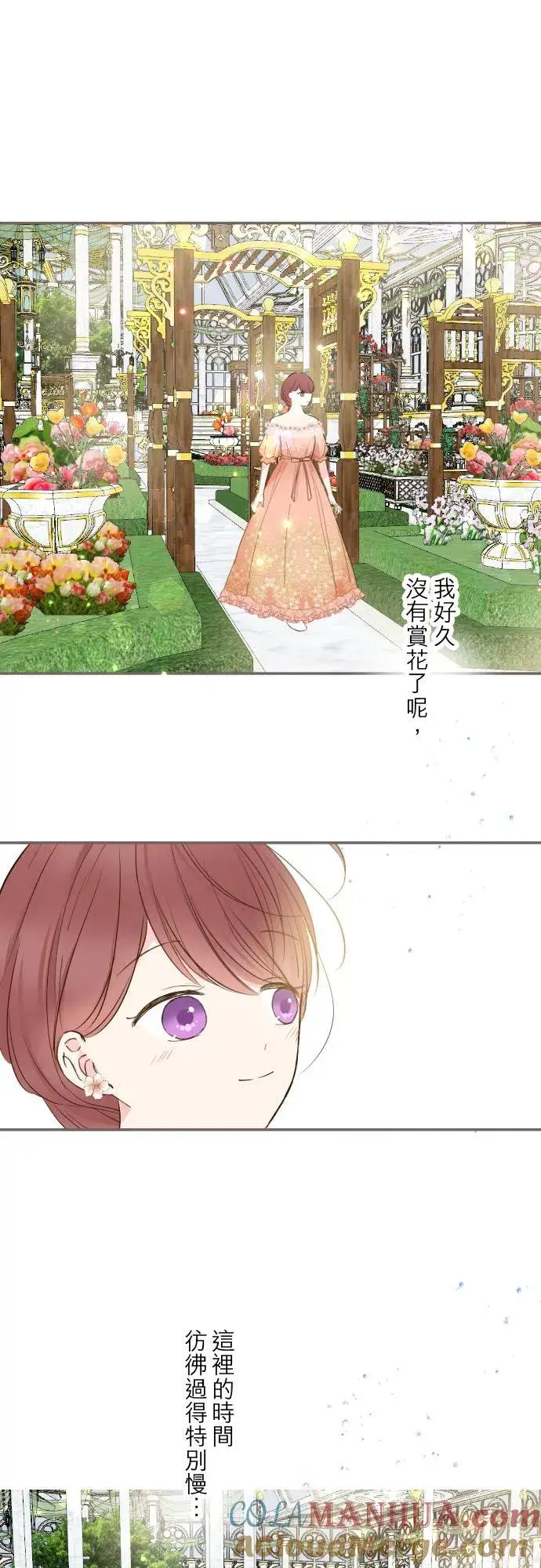 《龙骑士与转生圣女》84话 恬静的花园图5