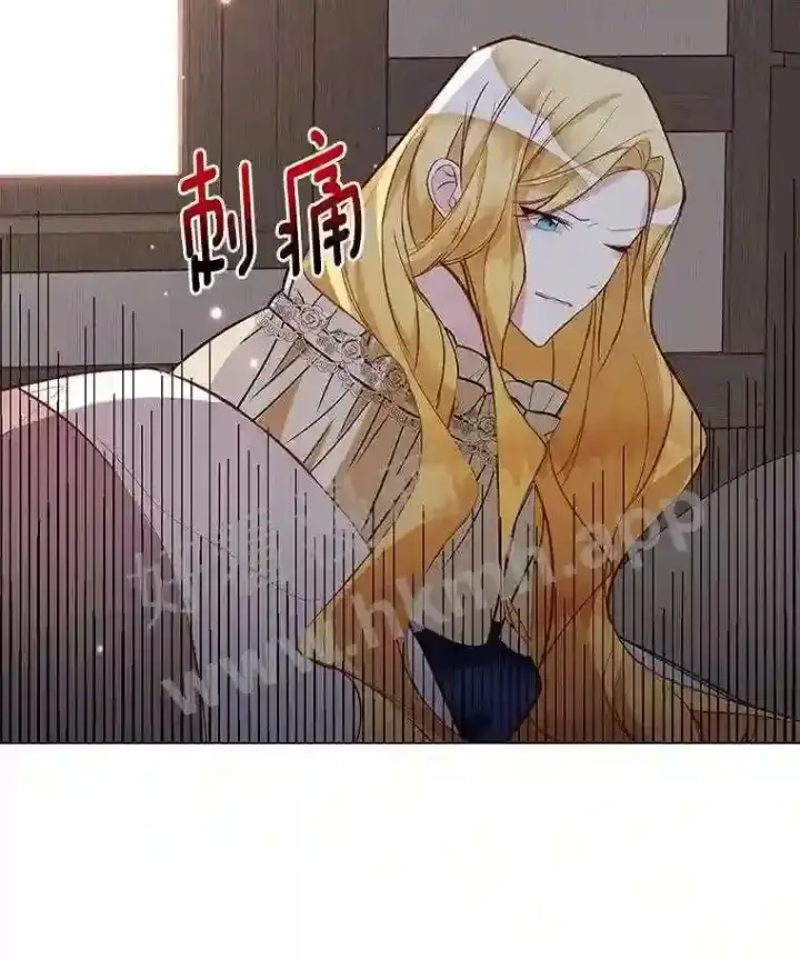 《龙套大公子妃的花路人生》2.我想逃离图10