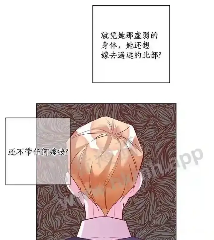 《龙套大公子妃的花路人生》3.我愿意结婚图102