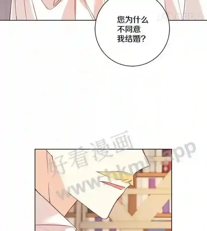 《龙套大公子妃的花路人生》3.我愿意结婚图105