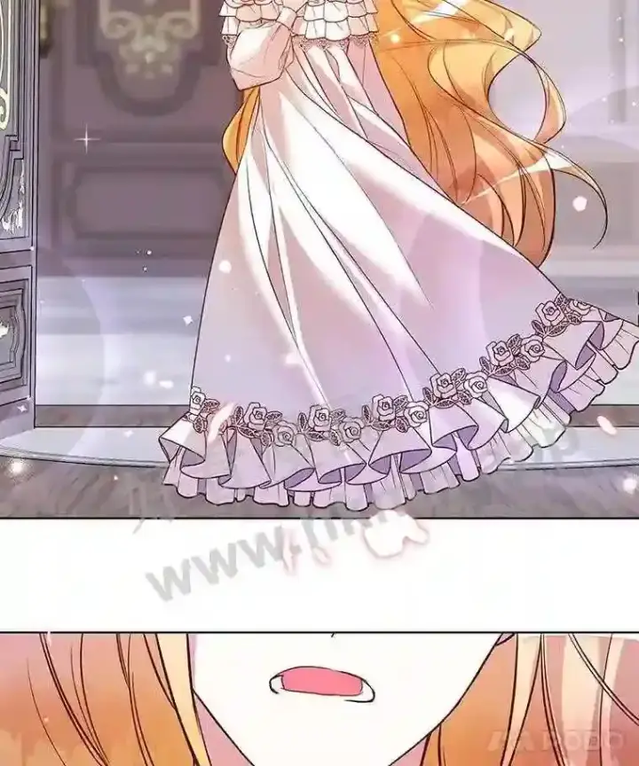 《龙套大公子妃的花路人生》3.我愿意结婚图21