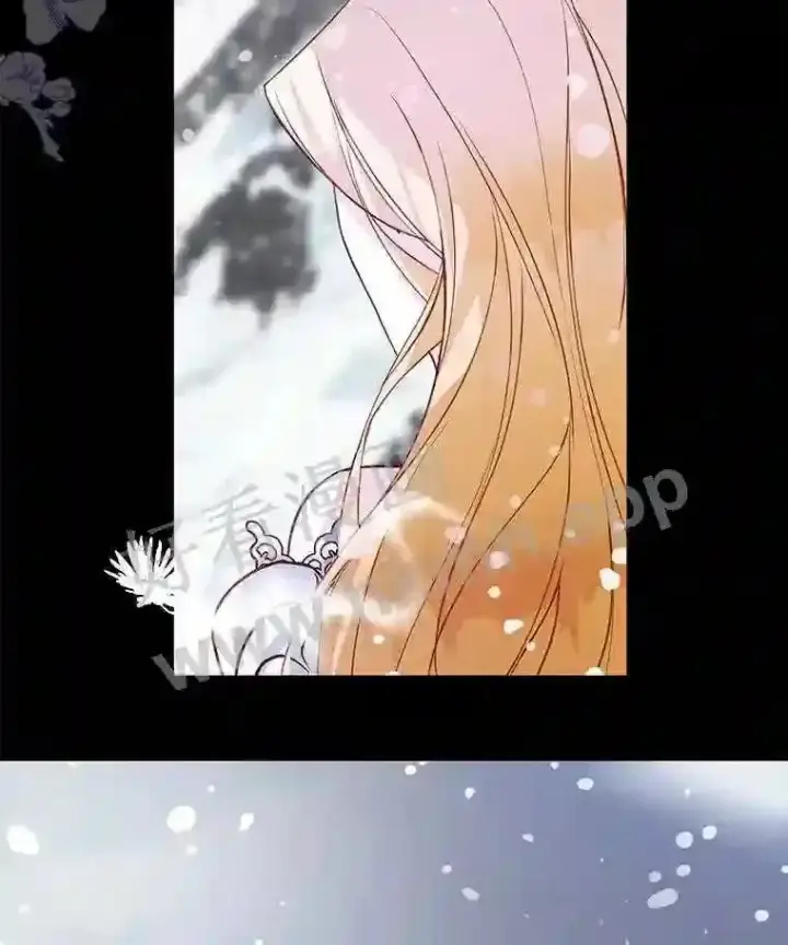 《龙套大公子妃的花路人生》4.收到回信图32