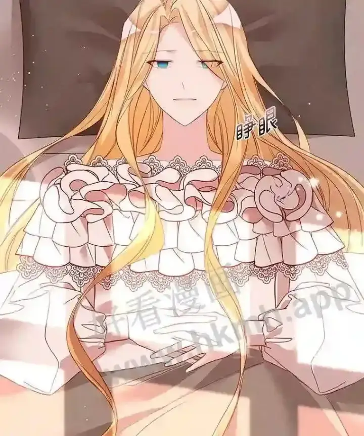 《龙套大公子妃的花路人生》4.收到回信图47