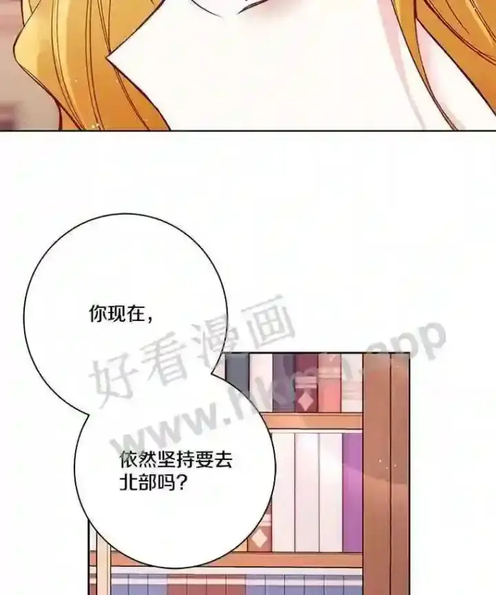 《龙套大公子妃的花路人生》5.到北部了图30