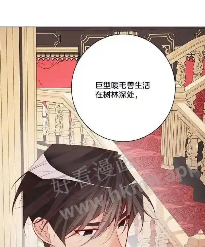 《龙套大公子妃的花路人生》5.到北部了图50