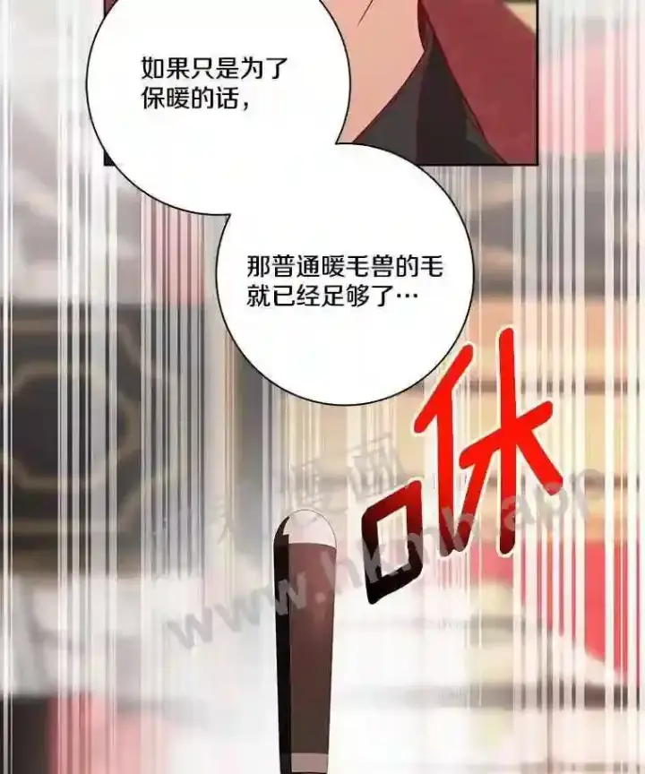 《龙套大公子妃的花路人生》5.到北部了图58